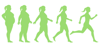 Weight Loss Progress